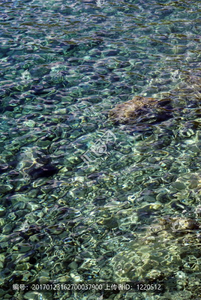 海