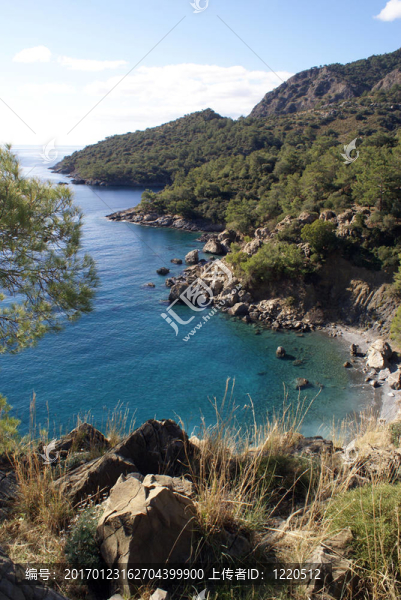 海岸
