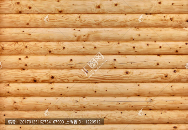 美麗的樹-匯圖網(wǎng) www.fosd68.com 美麗的樹