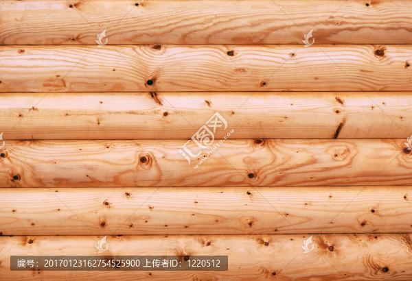 美麗的樹-匯圖網(wǎng) www.fosd68.com 美麗的樹