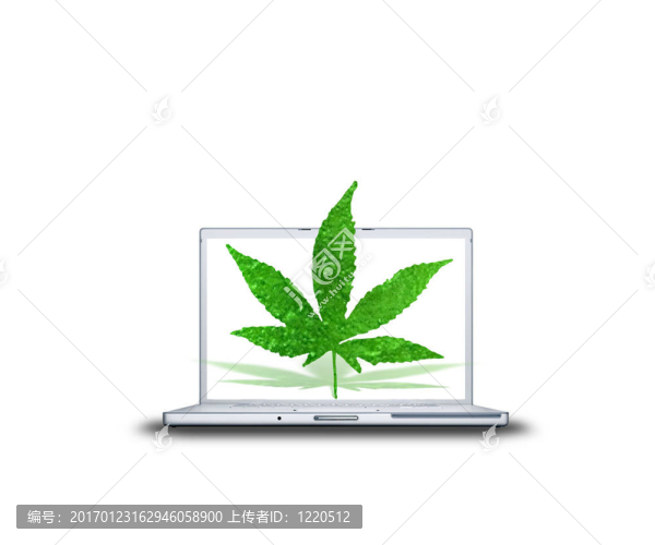 在筆記本電腦大麻葉