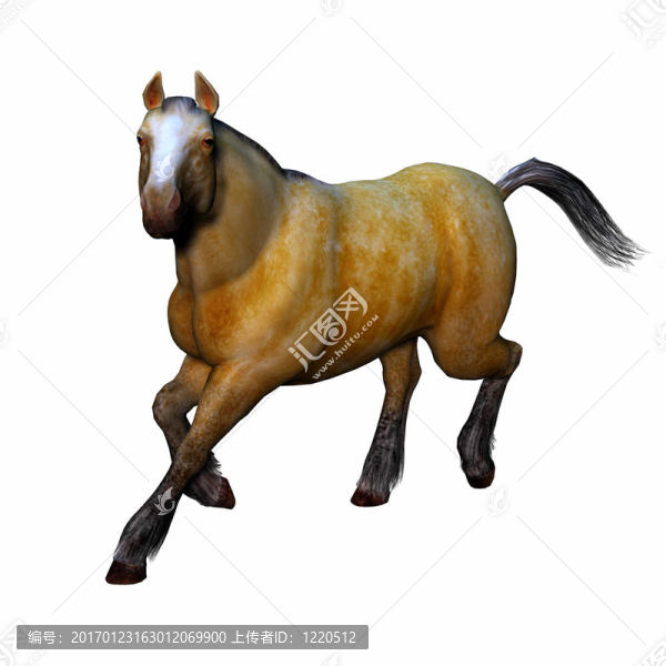 三維立體感斑斕的馬