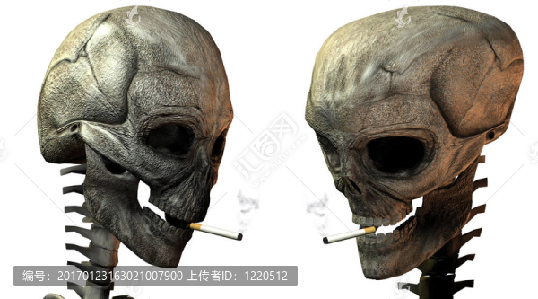 兩個3D頭骨與香煙