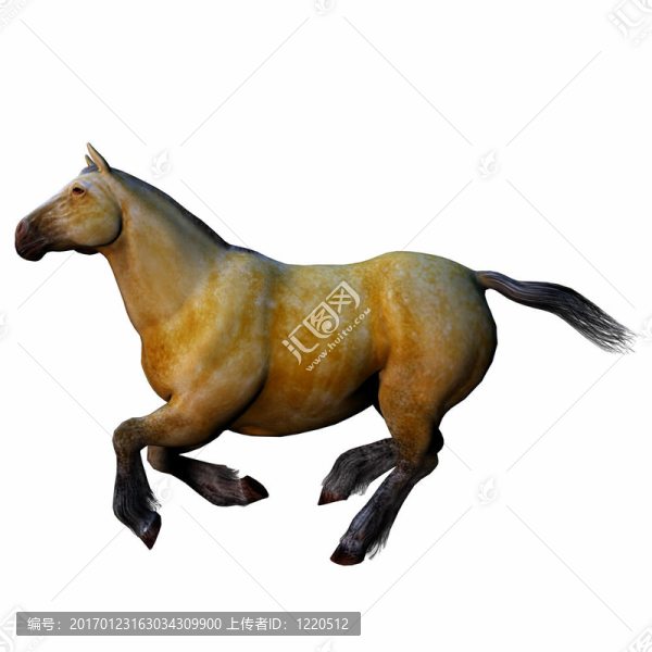 三維立體感斑斕的馬