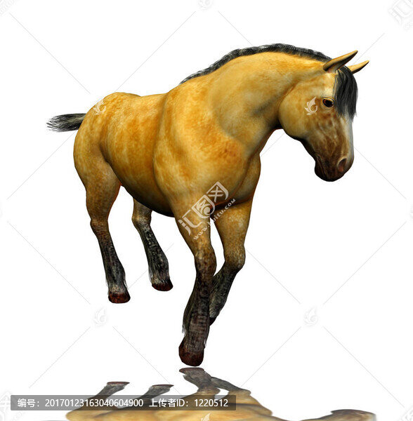 三維立體感斑斕的馬