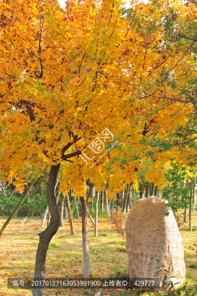 秋天園林風(fēng)景