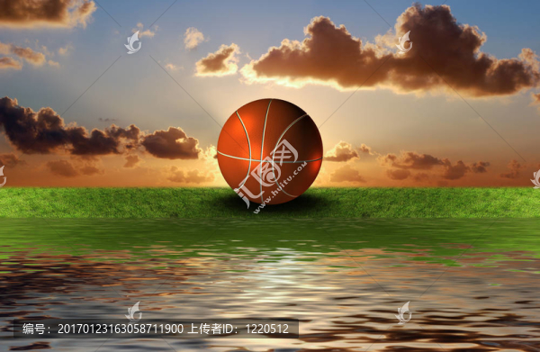 天空背景的草地上的籃球