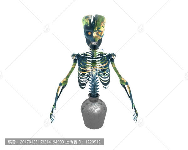 三維頭骨與地球紋理孤立的白色