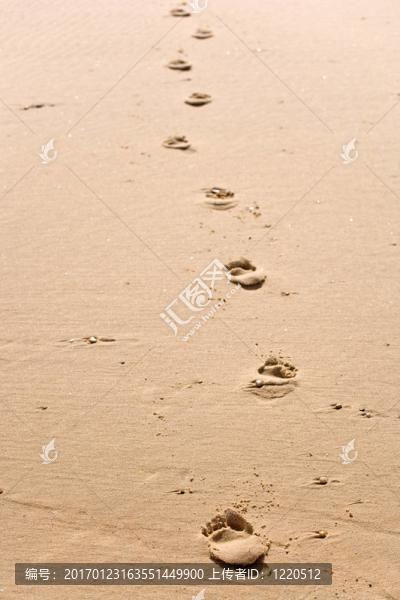 foosteps無處不在