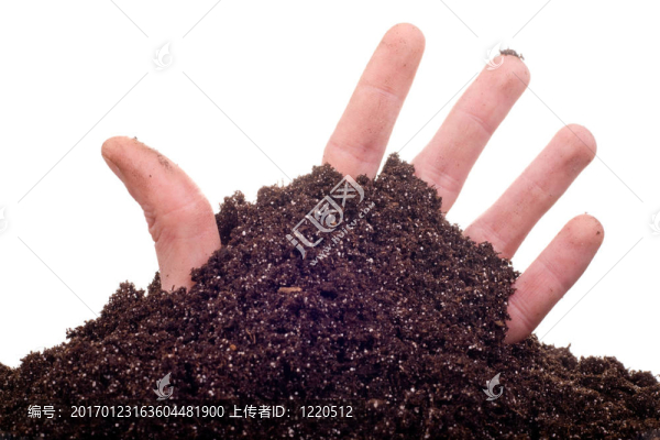 一方面在土壤