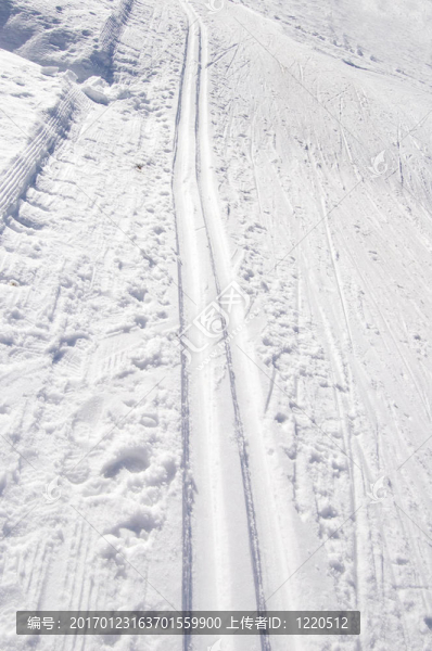 越野滑雪賽道