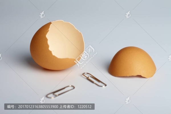 雞蛋殼和夾