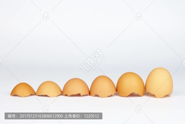 雞蛋殼