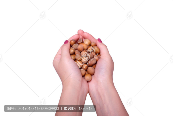 從木螺母把女性的手