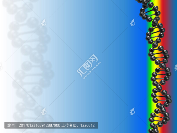 科學(xué)背景DNA