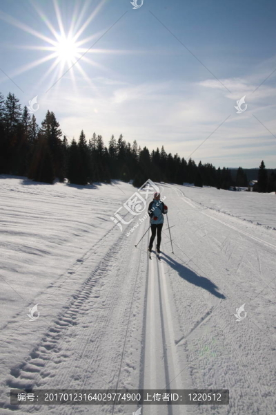 越野滑雪運(yùn)動員