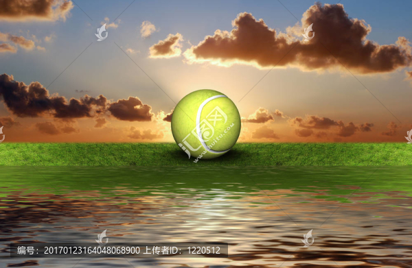 綠草上的網(wǎng)球