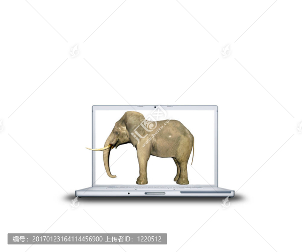 筆記本電腦上的3D大象