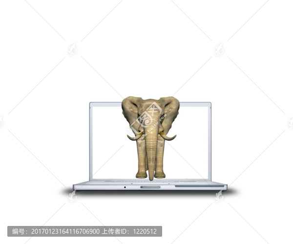 筆記本電腦上的3D大象