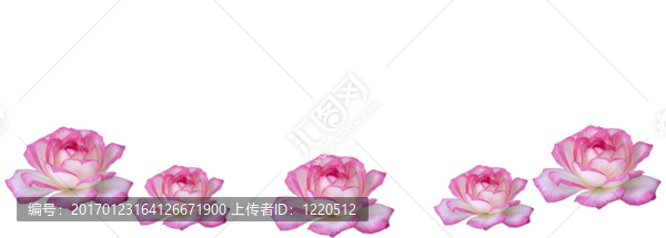 母親節(jié)鮮花粉色玫瑰邊