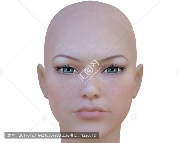 3D網(wǎng)絡(luò)女孩的臉-匯圖網(wǎng) www.fosd68.com 3D網(wǎng)絡(luò)女孩的臉