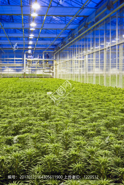 溫室氣候控制