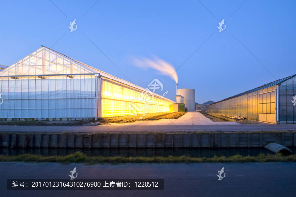 溫室的黃昏