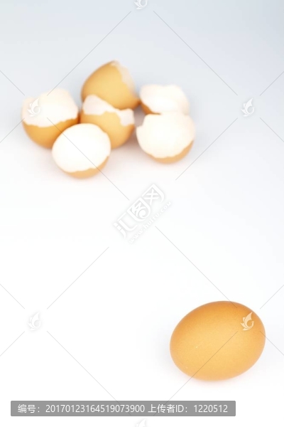 雞蛋殼