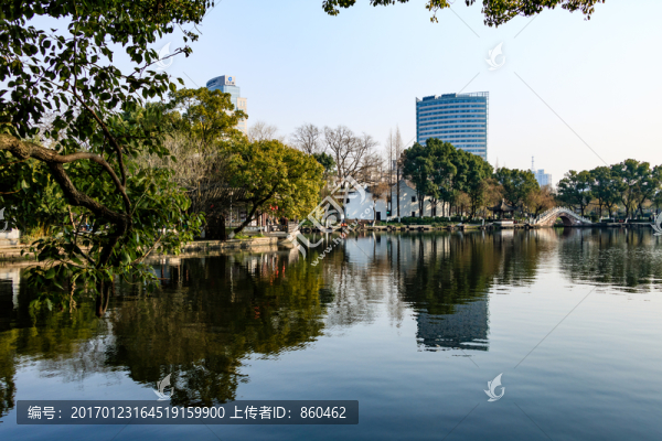 月湖,冬天月湖盛園,寧波公園景