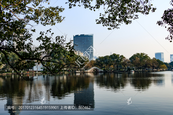 月湖,盛園,寧波公園景觀
