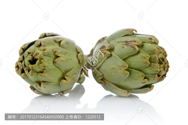 兩個新鮮可口的朝鮮薊