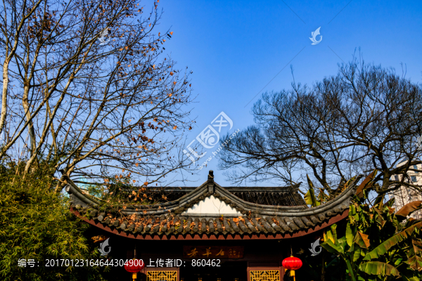 月湖,冬天月湖盛園,寧波公園景