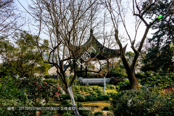月湖盛園