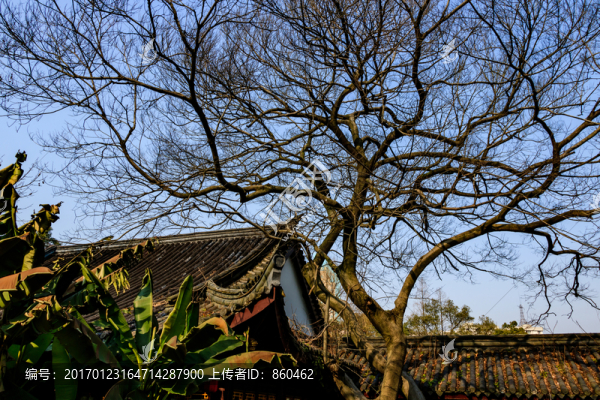 月湖,寧波公園