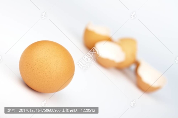 雞蛋殼