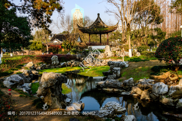 冬天月湖盛園,寧波公園景觀
