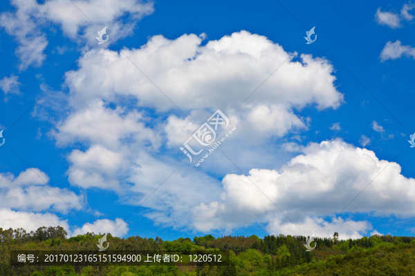 夏天的風(fēng)景