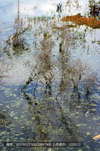 反射-匯圖網(wǎng) www.fosd68.com 反射