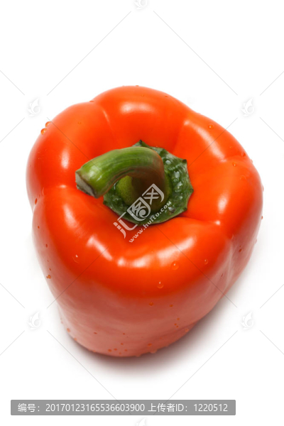 橙色的保加利亞辣椒