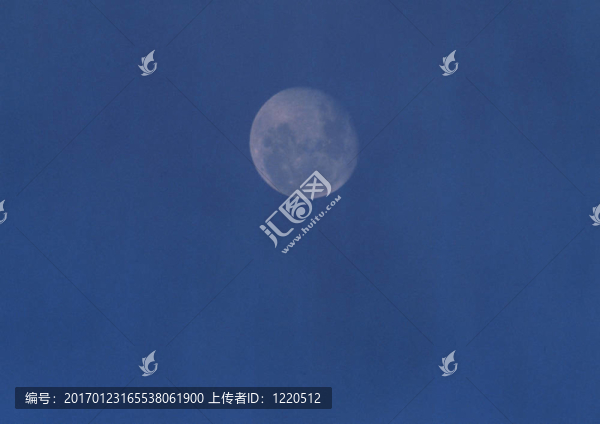 全Moon