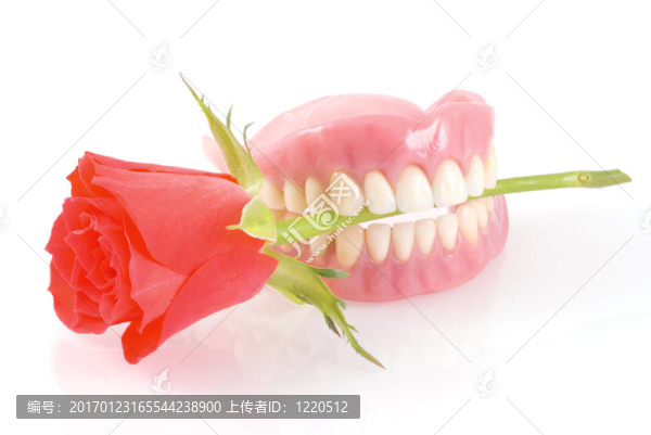 玫瑰全口義齒。