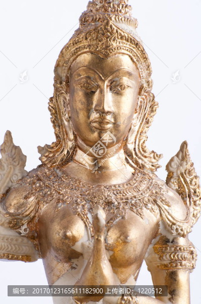 金尊