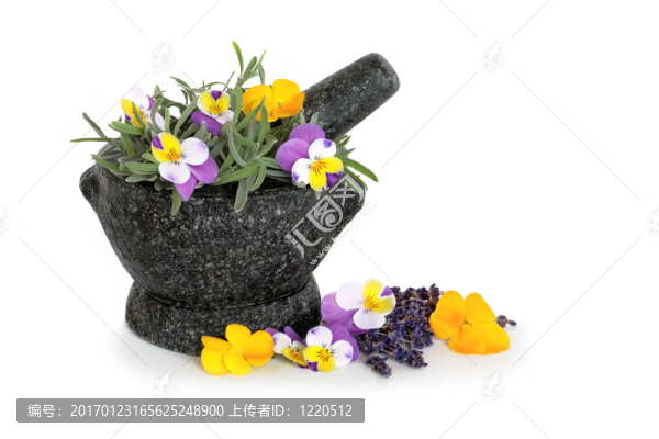 薰衣草和Viola,Flowers