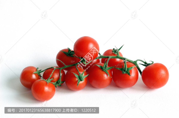 西紅柿