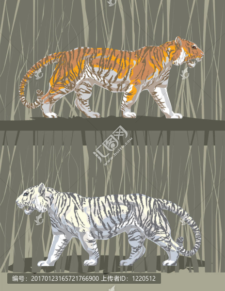 tiger_001