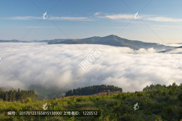 霧山