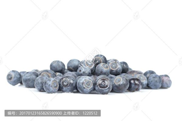 藍(lán)莓