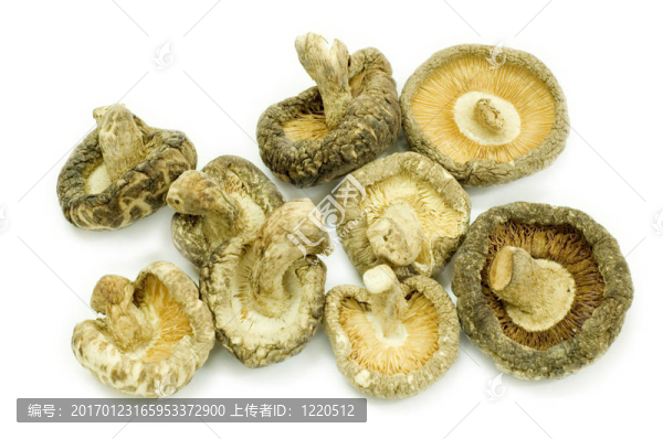 香菇