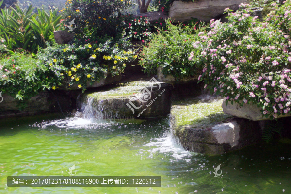 一個(gè)花園