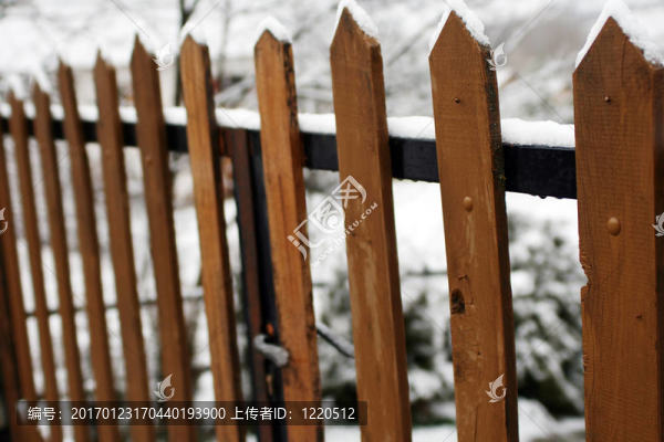 雪中的木門